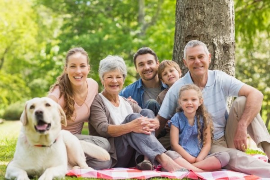 aile ziyareti ingiltere vize bavurusu iin danmanlk ve yeminli tercme